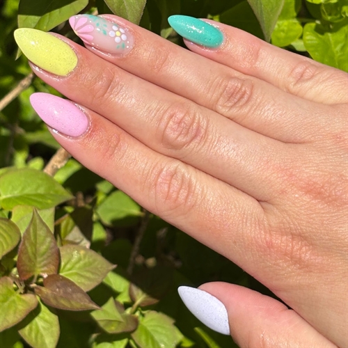 Summer Flower 🌸